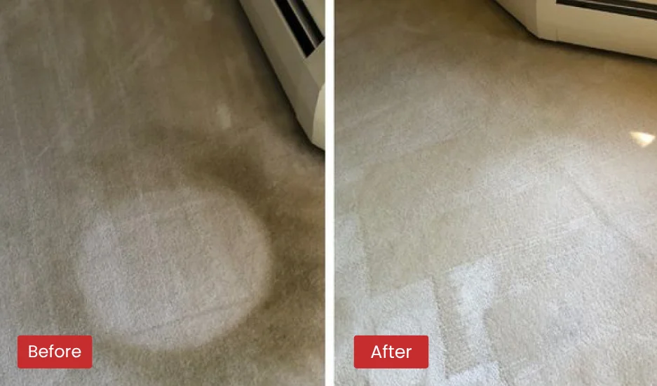 Carpet Cleaning Before & After