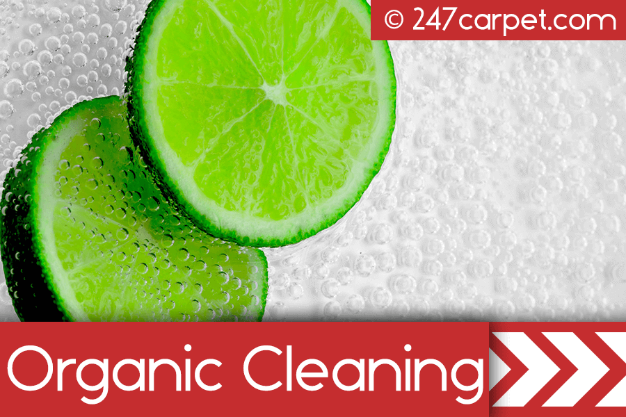 Organic Cleaning Services Manhattan